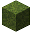 Moss Block Moss Block