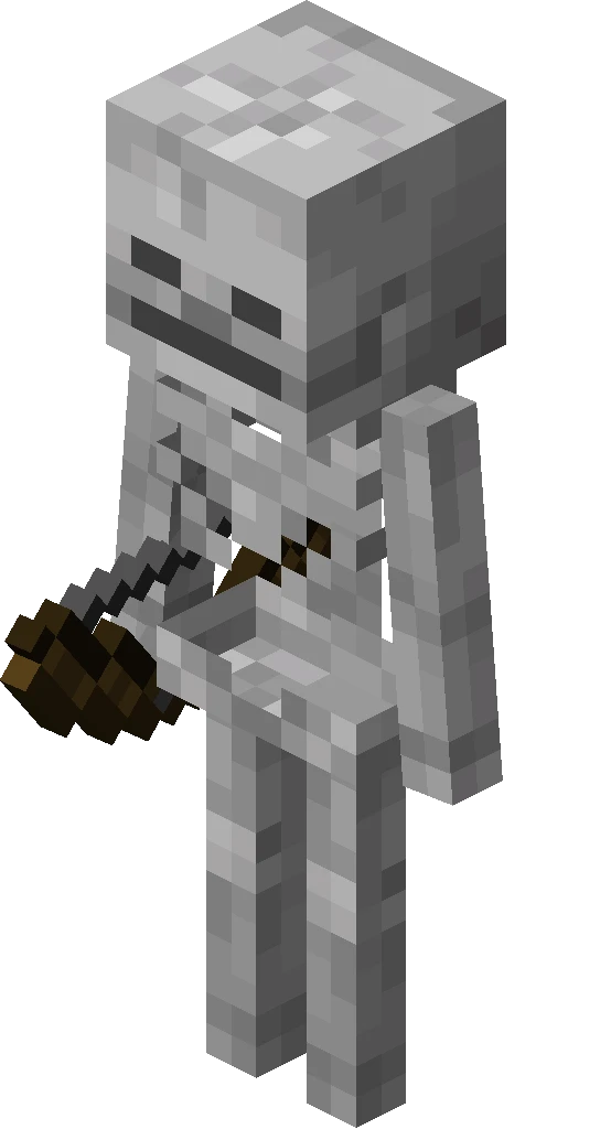 Skeleton